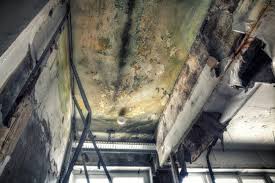 Best HVAC Mold Inspection and Cleaning  in USA